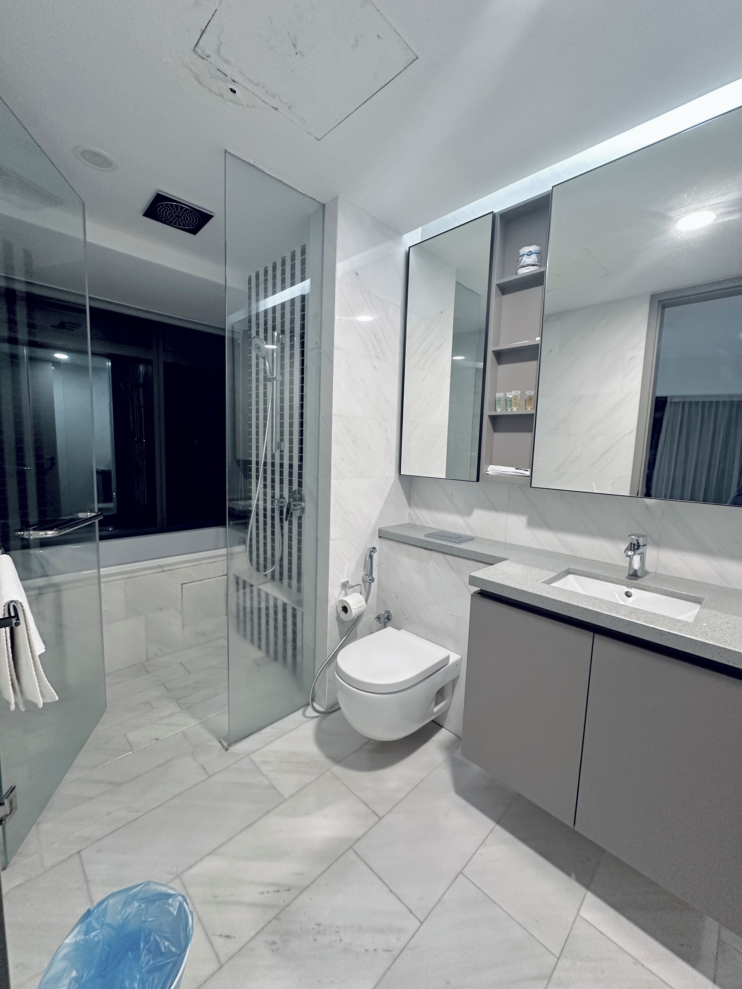 A modern bathroom with a glass shower enclosure, a toilet, and a sink with a large mirror.