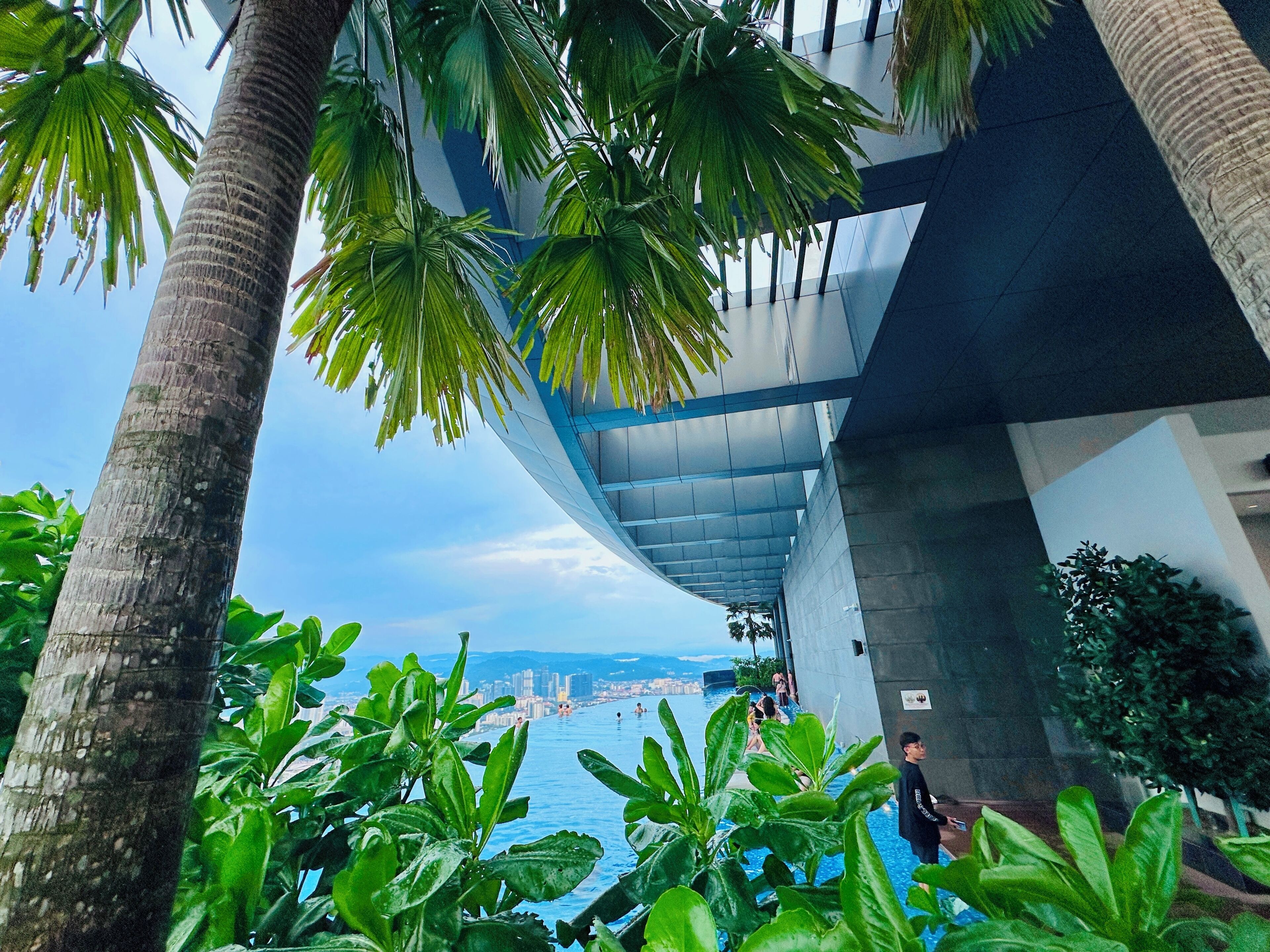 A modern building with a pool and palm trees.