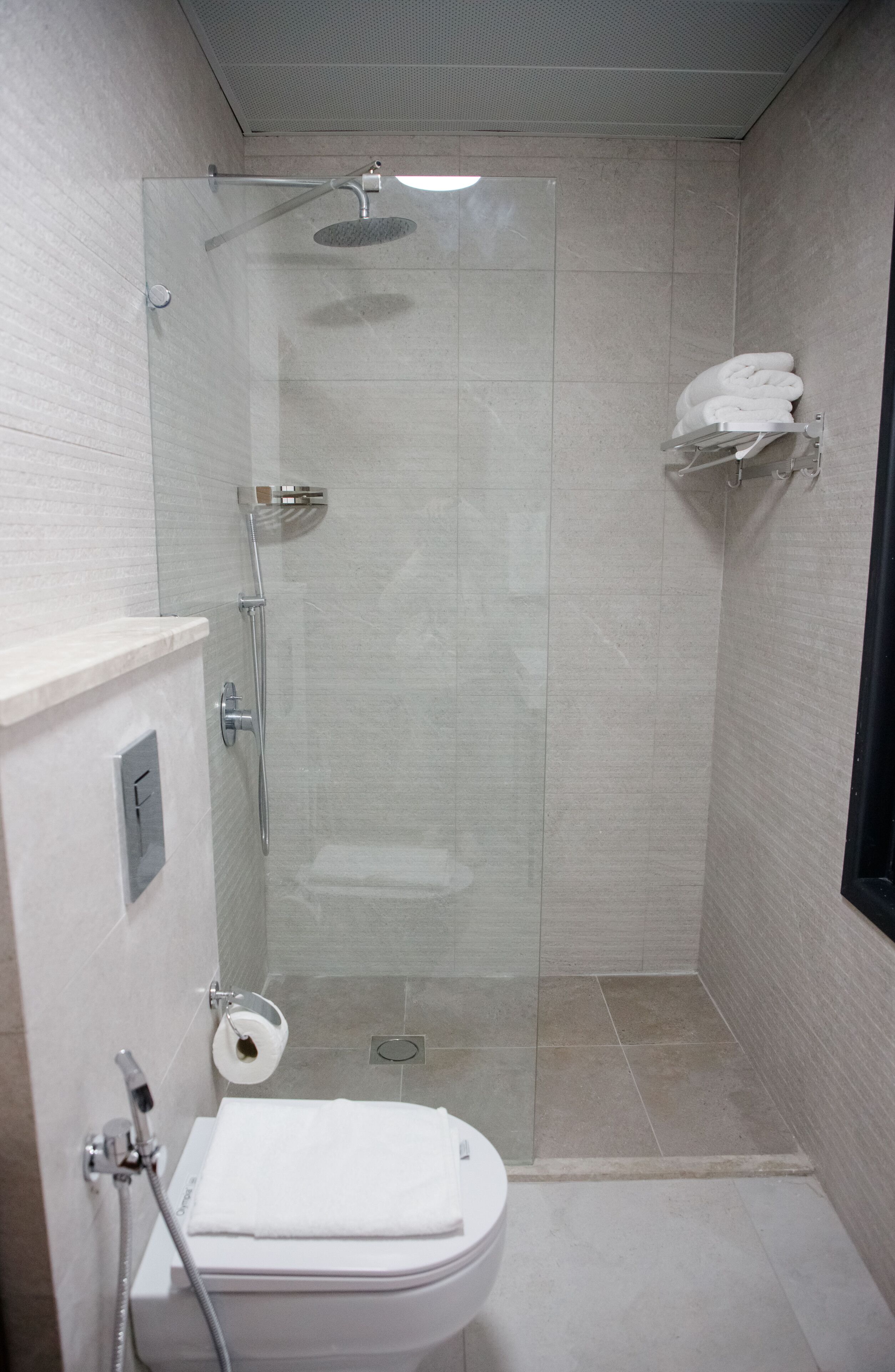 A modern bathroom with a glass-enclosed shower, a toilet, and a towel rack.