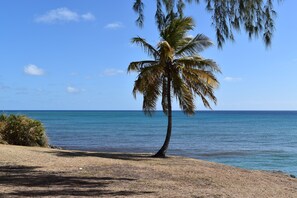 Beach towels - 2 Bedroom Apartment - South Coast (Oistins)