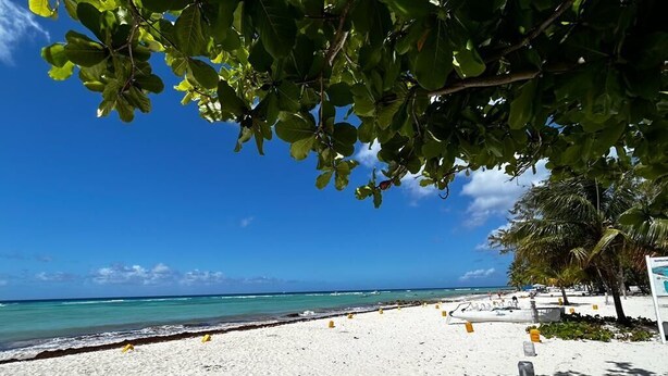 Una playa de arena blanca, agua turquesa cristalina y algunas boyas amarillas.