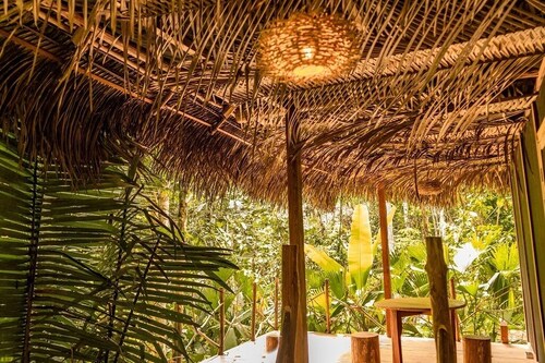 La LUNA Ecolodge in the Amazon jungle