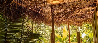 La LUNA Ecolodge in the Amazon jungle