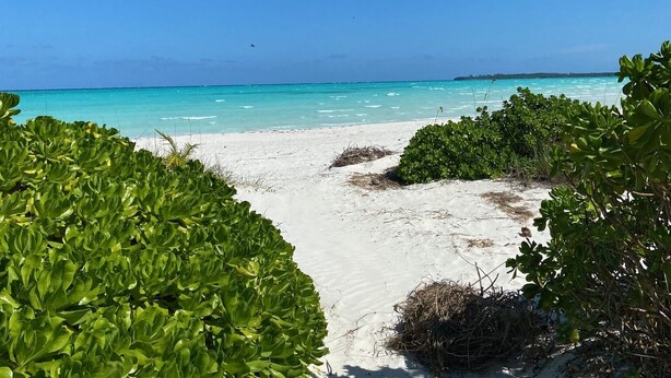 Un sentier bordant la plage, menant à l’océan, avec une eau d’un bleu limpide et une végétation luxuriante.