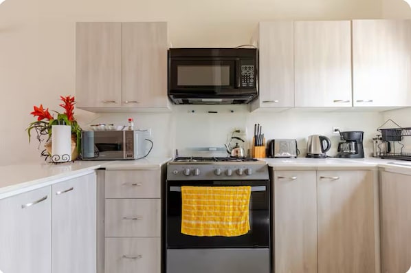 Microwave, oven, stovetop, cookware/dishes/utensils