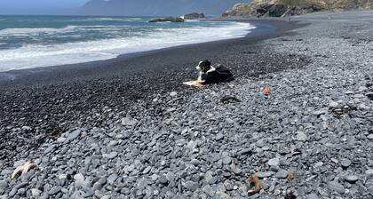 Cozy House in Shelter Cove