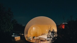 A spherical, illuminated structure with a bed, table, and bathtub, surrounded by trees and a night sky.