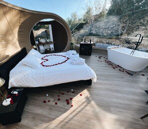 1 chambre, literie de qualité supérieure, couette en duvet d'oie