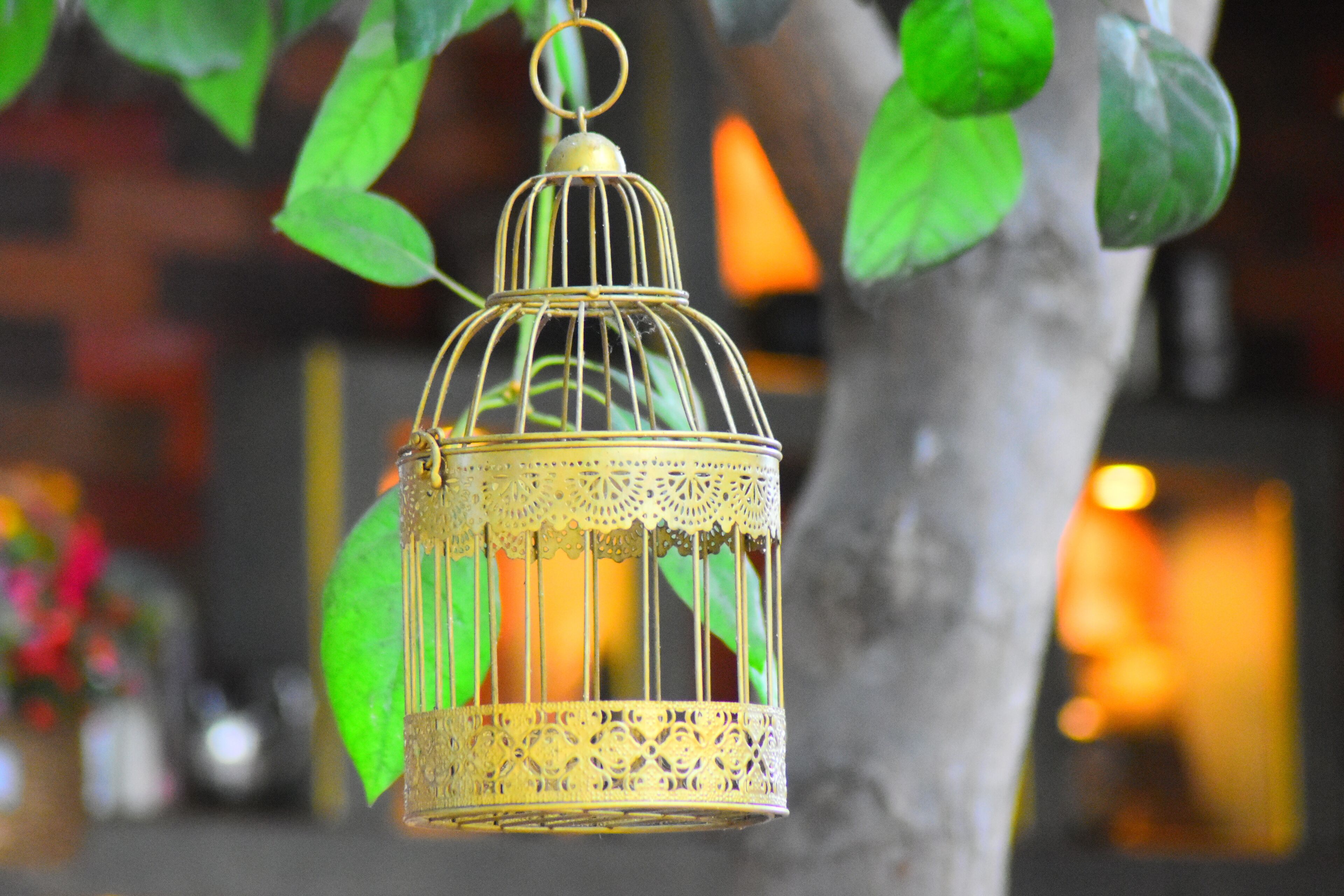 A hanging birdcage with intricate designs.
