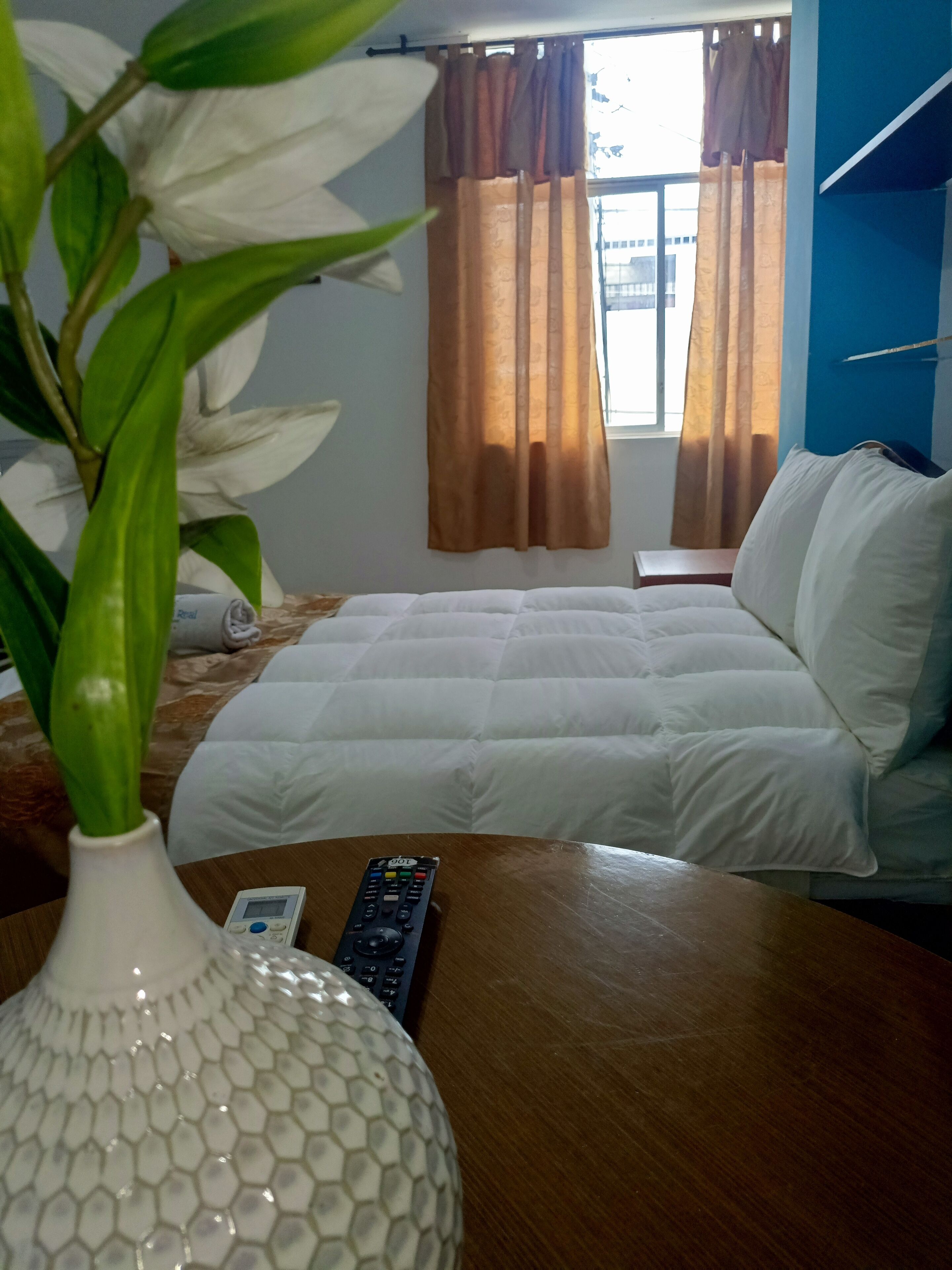 A hotel room with a bed, a bedside table with a remote control, a vase with a plant, and curtains on the window.