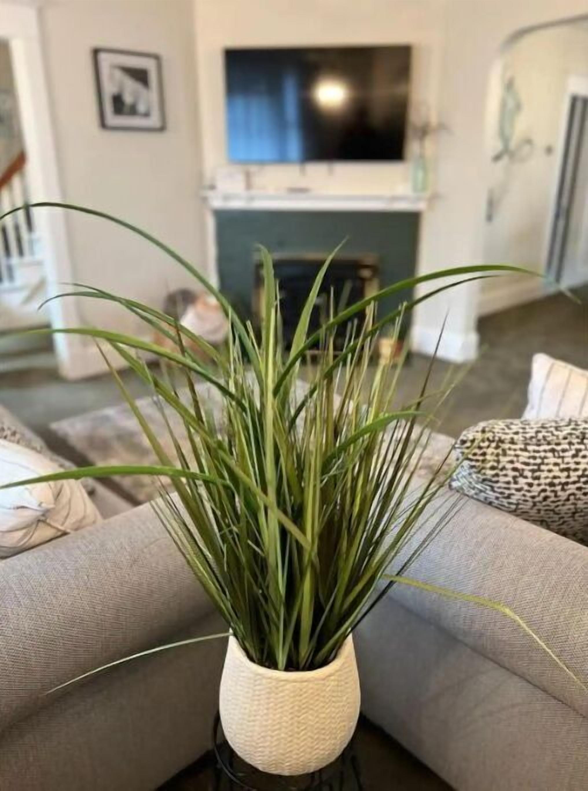 A living room with a grey sofa, a white textured vase with green plants, and a fireplace in the background.