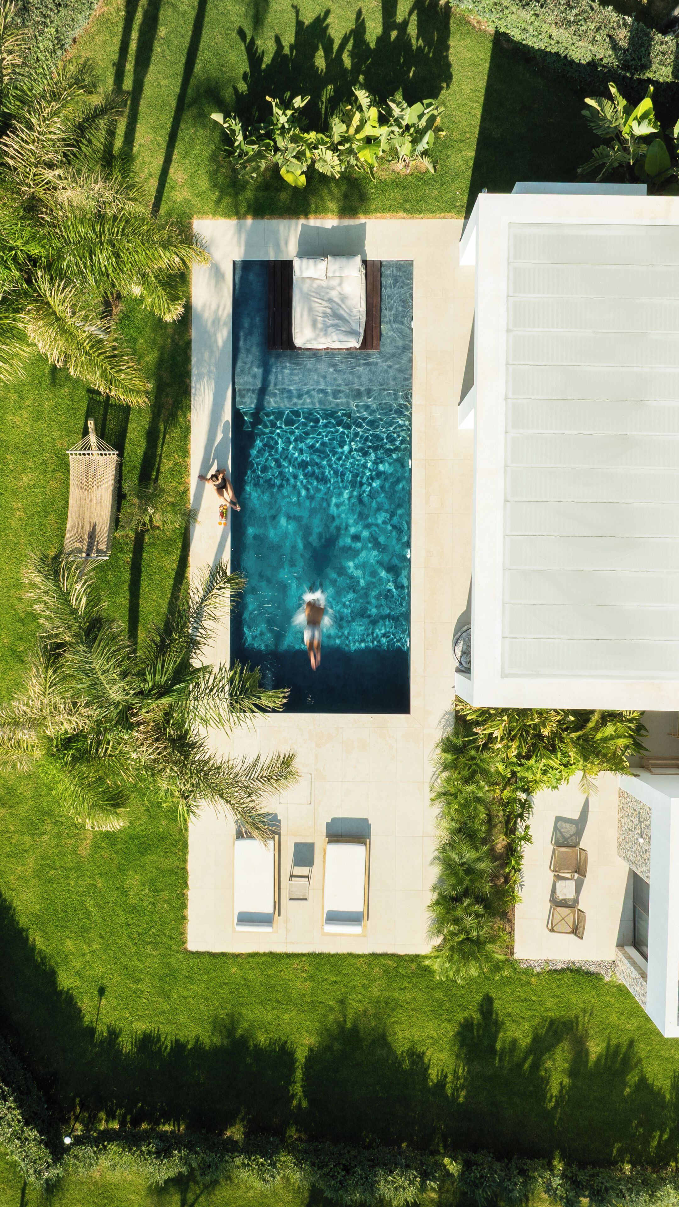 An aerial view of a swimming pool with a sun lounger, surrounded by greenery and a white building.
