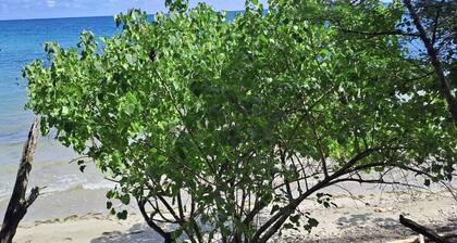 Cozy One Bedroom Apartment by the Beach in Retreat, St Thomas, Jamaica.