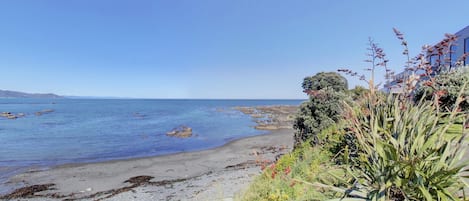 Vue sur la plage/l’océan