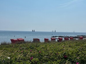 Playa en los alrededores y camastros 