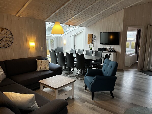 Televisión, chimenea, reproductor de DVD y estéreo 