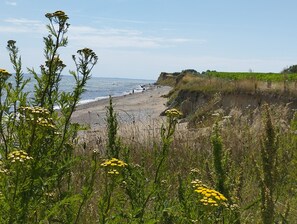 Beach nearby, sun loungers - Baltic View - Komfortables, Sehr Strandnahes Ferienhaus mit Whirlpool und Sauna (Brodersby)