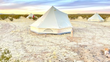 Egyptian cotton sheets, premium bedding, down duvets