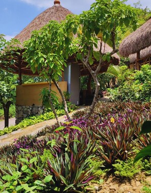 A tropical resort with thatched-roof buildings, lush greenery, and a variety of plants. - Ixak Cabañas  (Huehuetlán)