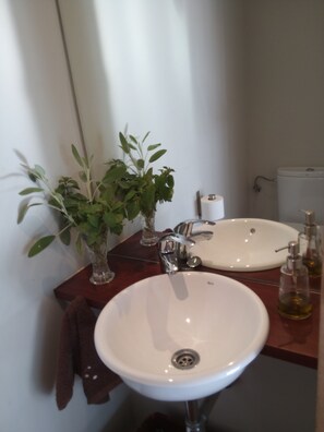 Een douche, een haardroger, een bidet, handdoeken