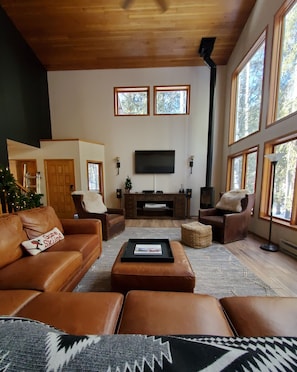 Smart TV, fireplace, books, stereo