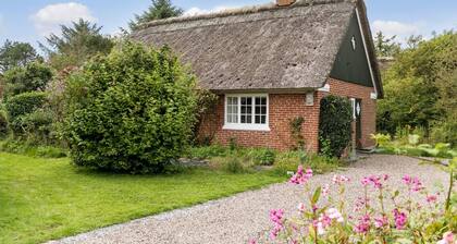Cozy home in Fanø with kitchen