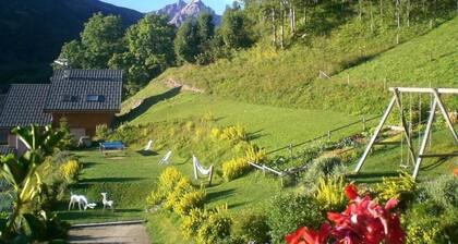 Myosotis - VALLOIRE - GĂźte