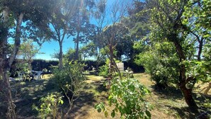 A garden with trees and a white structure in the background.