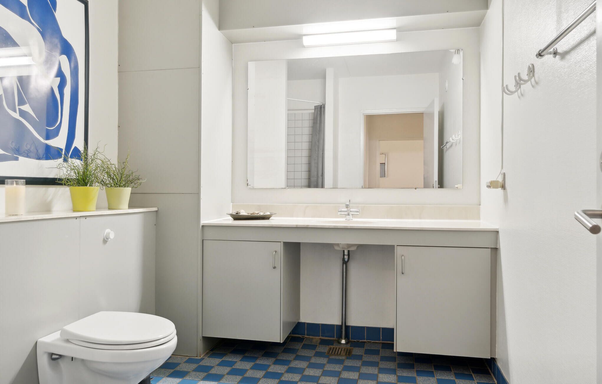 Een badkamer met een wit toilet, een wastafel met een spiegel erboven en een blauw-wit geruit vloertje. Er staan twee potplanten op het aanrecht.