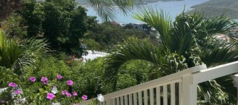 Spectacular View of St Thomas Harbor from both floors & Pool at Bettye’s Villa. 