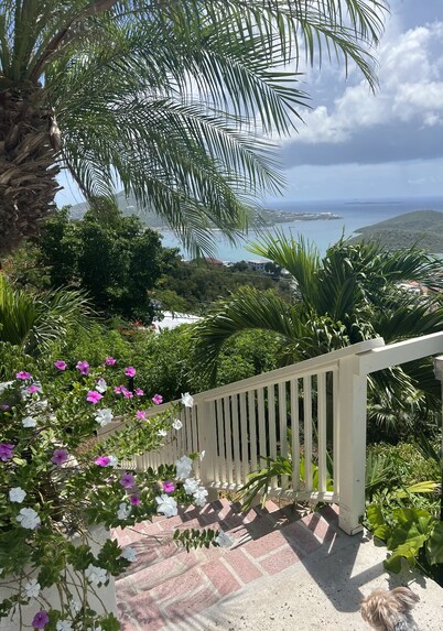 Spectacular View of St Thomas Harbor from both floors & Pool at Bettye’s Villa. 