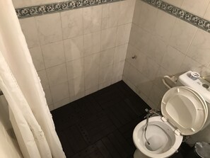 Assecador de cabells, tovalloles, sabó i paper higiènic