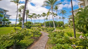 A pathway flanked by lush greenery and tall palm trees, leading to a building with multiple balconies. - Waikoloa Saltwater Haven in Vistas (Waikoloa)