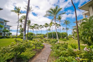 Property grounds - Waikoloa Saltwater Haven in Vistas (Waikoloa)