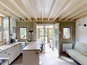 TV, fireplace, ping pong