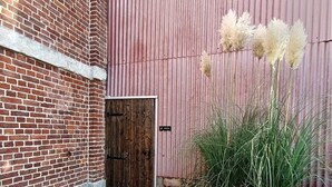 Un patio empedrado con una puerta de madera, una pared de lámina corrugada y un macetero con pastos altos.