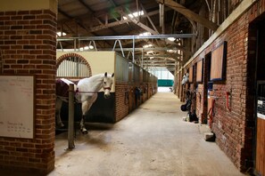 Miscellaneous - Loft dans une écuries 5 Pers vue sur les chevaux (Talmas)