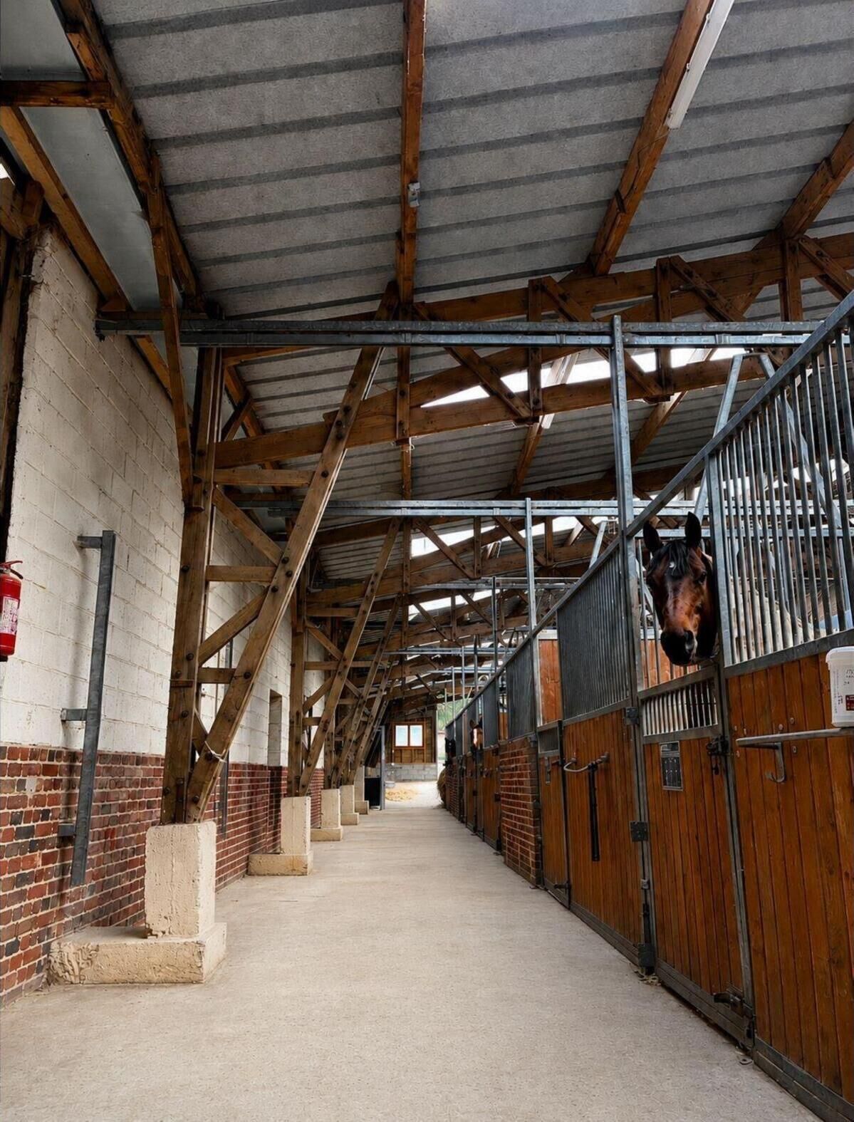 A stable with wooden stalls, a concrete floor, and a metal roof.