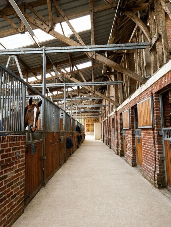 A stable with wooden stalls and a metal roof, featuring a horse visible through the stall door.