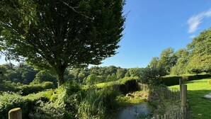 Ländliche Landschaft mit Holzzaun, Baum und kleinem Gewässer.