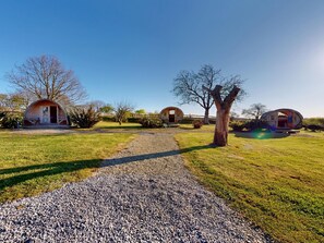 A pathway leading to three dome-shaped cabins in a grassy area with trees and a clear sky.