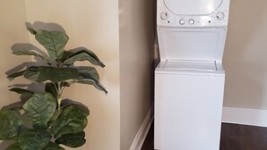 Habitación con lavadora blanca, planta en maceta y suelo de madera.