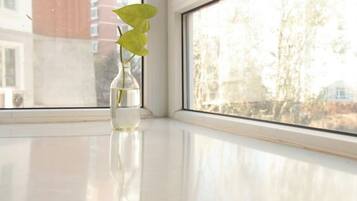A window sill with a clear view of a building and trees outside.