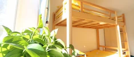 A bunk bed with a wooden frame, a window with curtains, and a potted plant in the foreground.