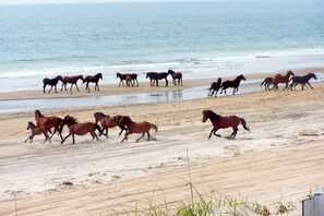 Am Strand