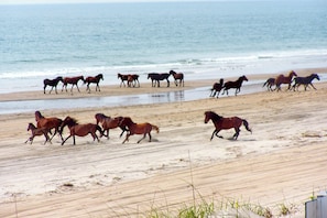 On the beach