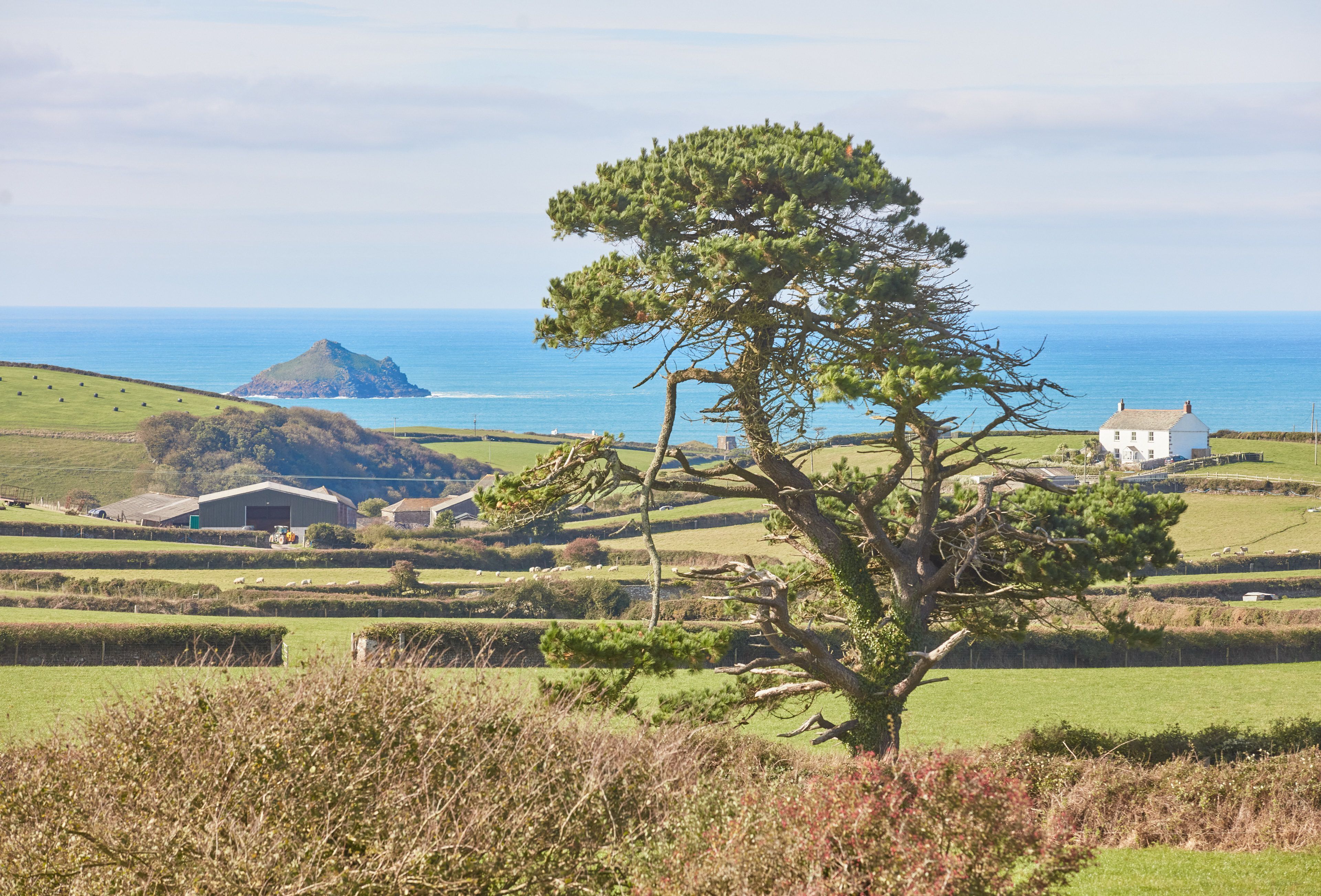 Un paysage côtier avec un arbre imposant, des collines verdoyantes, une île lointaine et un bâtiment blanc.