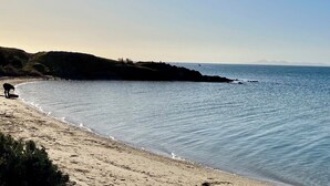 A beach with a dog near the water's edge, calm sea, and distant hills. - Central convenience for groups and families - Portarlington entertainer! (Portarlington)