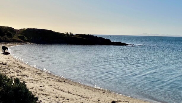 Ein Strand mit einem Hund nahe der Wasserlinie, ruhiges Meer und Hügel in der Ferne.