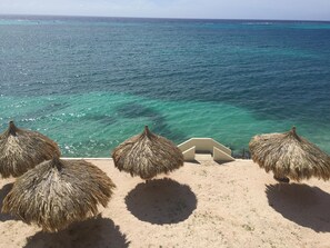 Property grounds - Little bit of Heaven Aruba - Beachfront Condo at Rodgers Beach  (San Nicolas)
